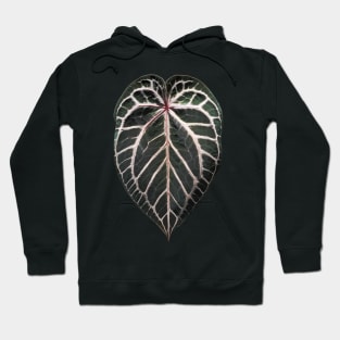 ANTHURIUM RED CRYSTALLINUM Hoodie